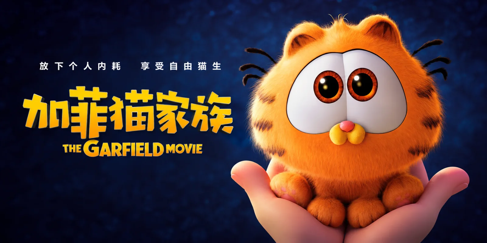 《加菲猫家族》dcp文件包 | 国语海报